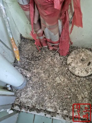 비둘기 배설물 바닥