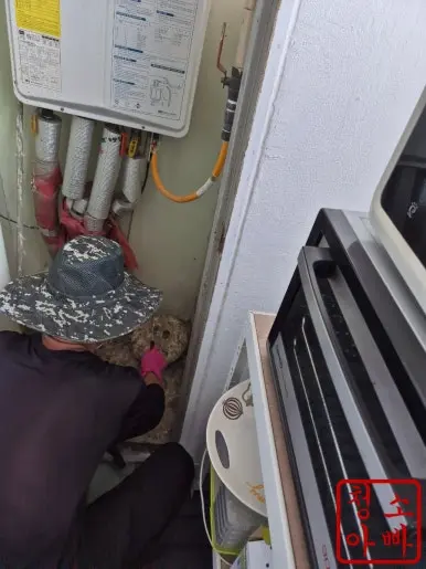 미추홀구 비둘기똥 작업자