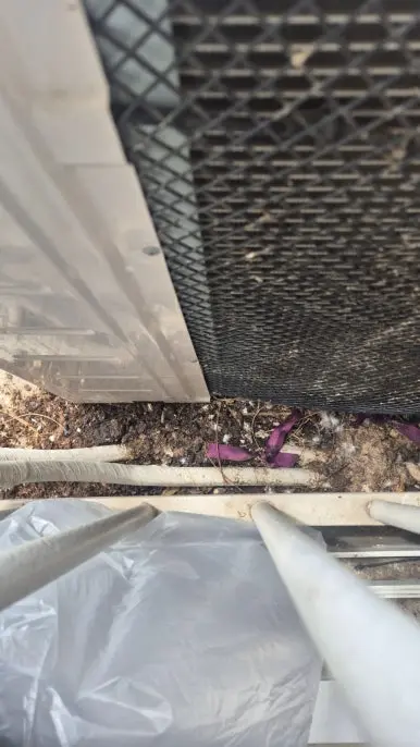 상도동 실외기 하부 둥지