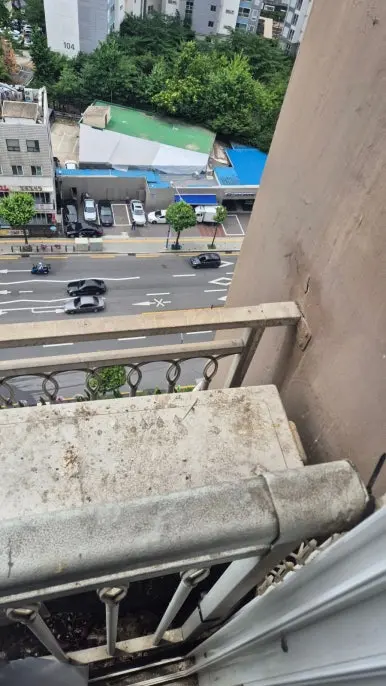 상도동 난간 배설물