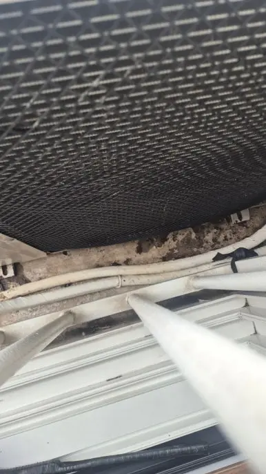 비둘기 배설물 방충망