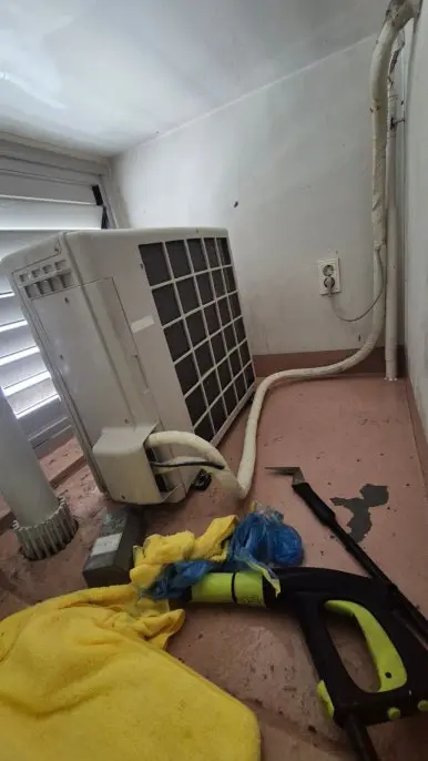 비둘기 배설물  청소 후