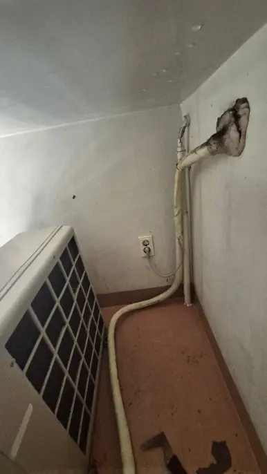 역삼동 비둘기똥 청소 완료 벽면