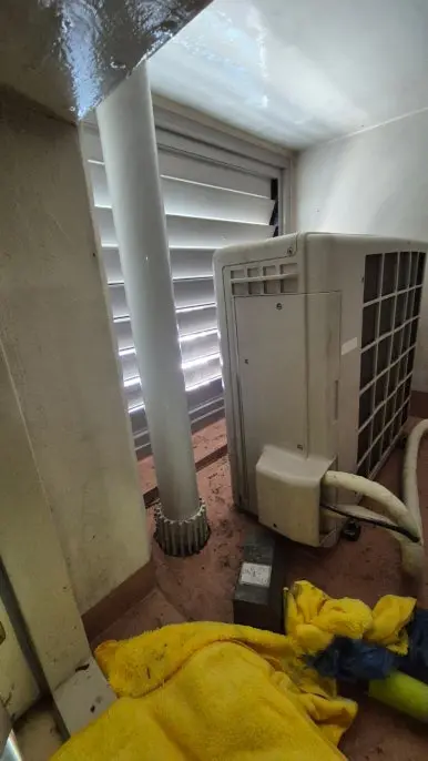 비둘기 배설물  청소 후