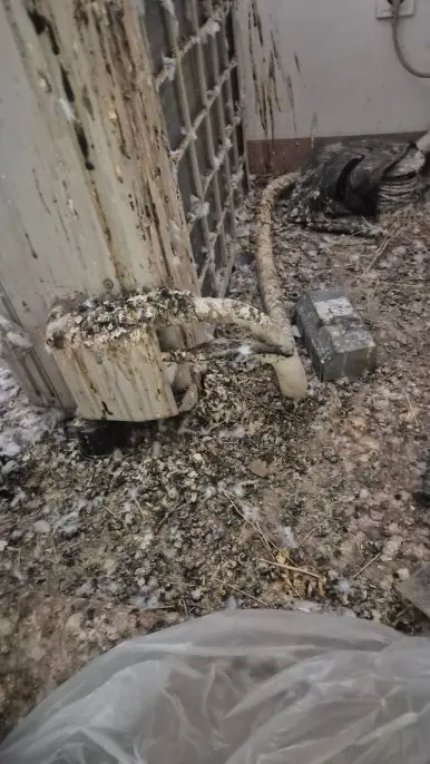 역삼동 베란다 바닥 비둘기 배설물