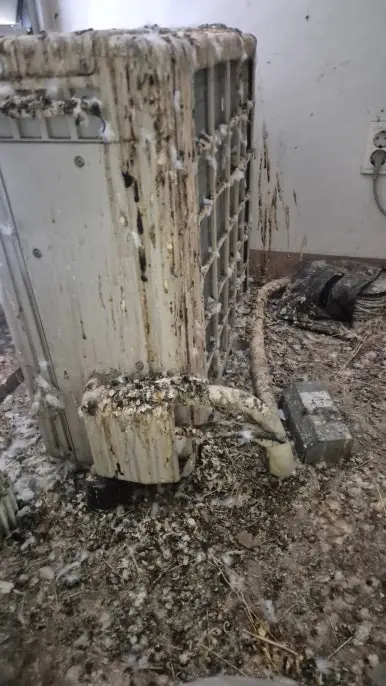 역삼동 비둘기똥 실외기 극심 오염