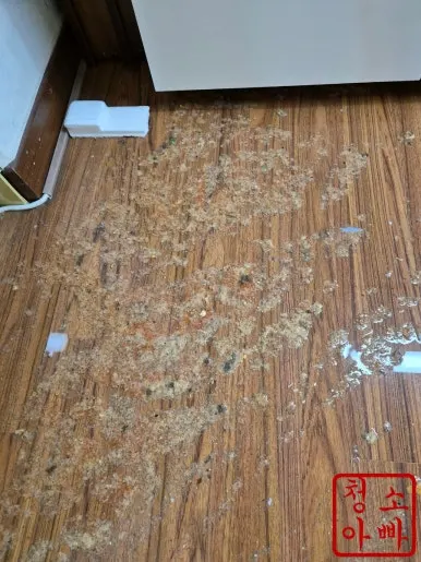 배관역류 거실 바닥 음식물찌꺼기 하수오물 오염 작업전