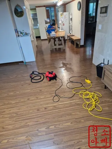 배관역류청소 거실 전용 장비 세정 작업 중