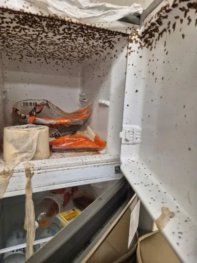 부패 냉장고 내부