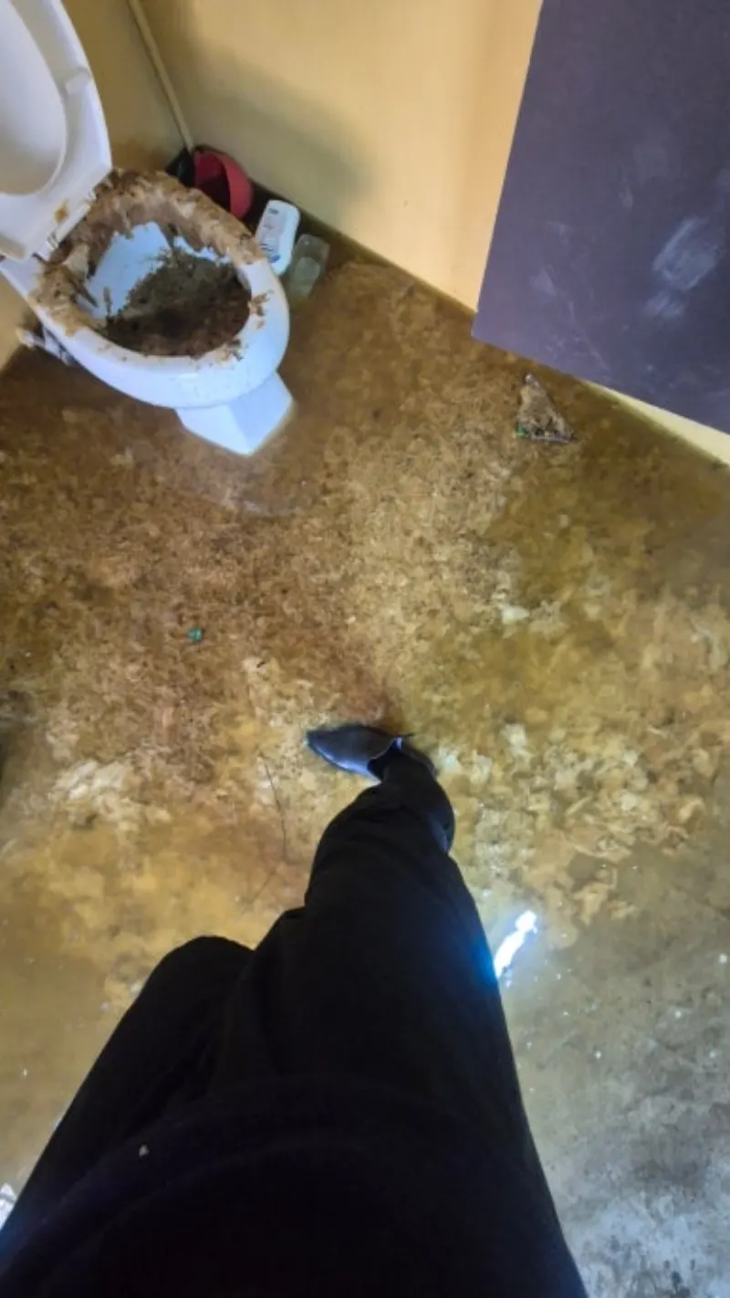 오수 역류 바닥 오염 상태