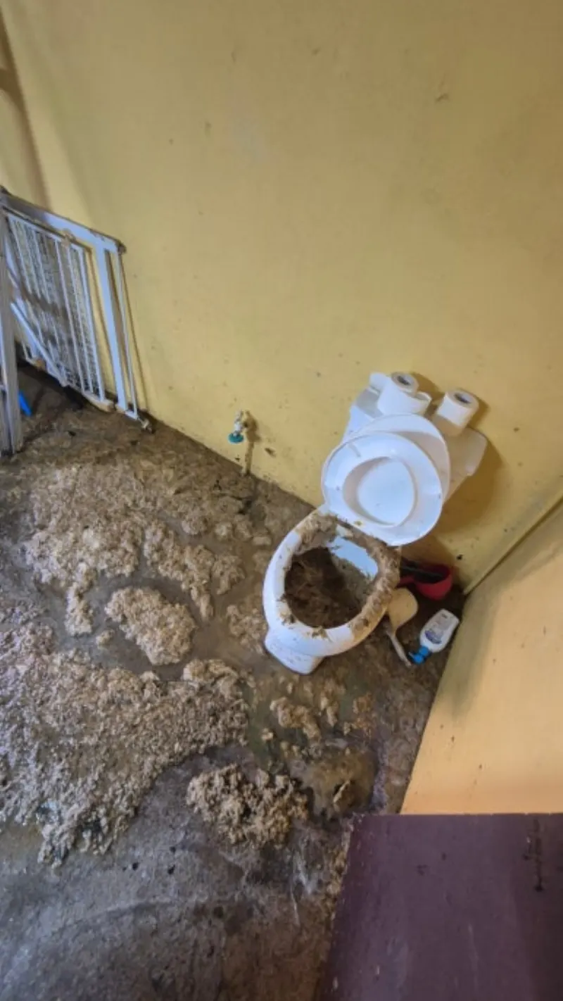 하수구 역류 침수