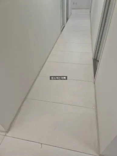 역류 청소 살균세정 완료