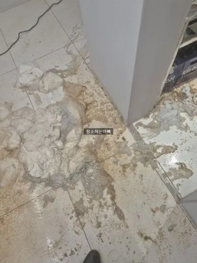 변기 역류 오수 바닥