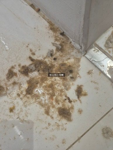 오수 역류 바닥 얼룩 — 배수 역류로 생긴 오염 자국 작업 전