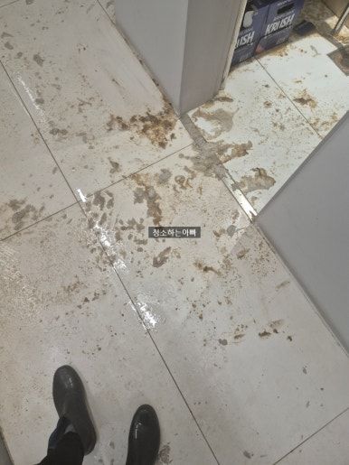 오수 역류 광역 오염 — 바닥 전면에 퍼진 역류수 자국 작업 전