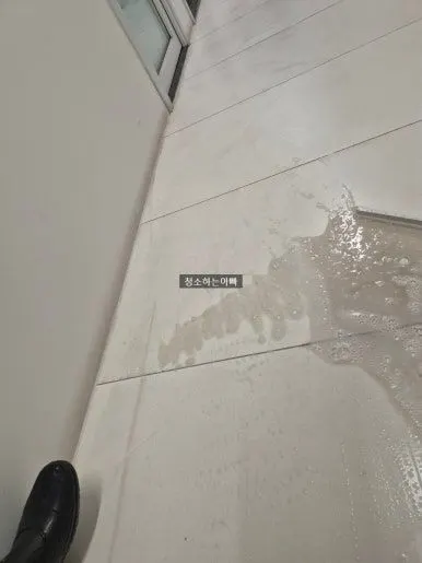 오수 제거 작업