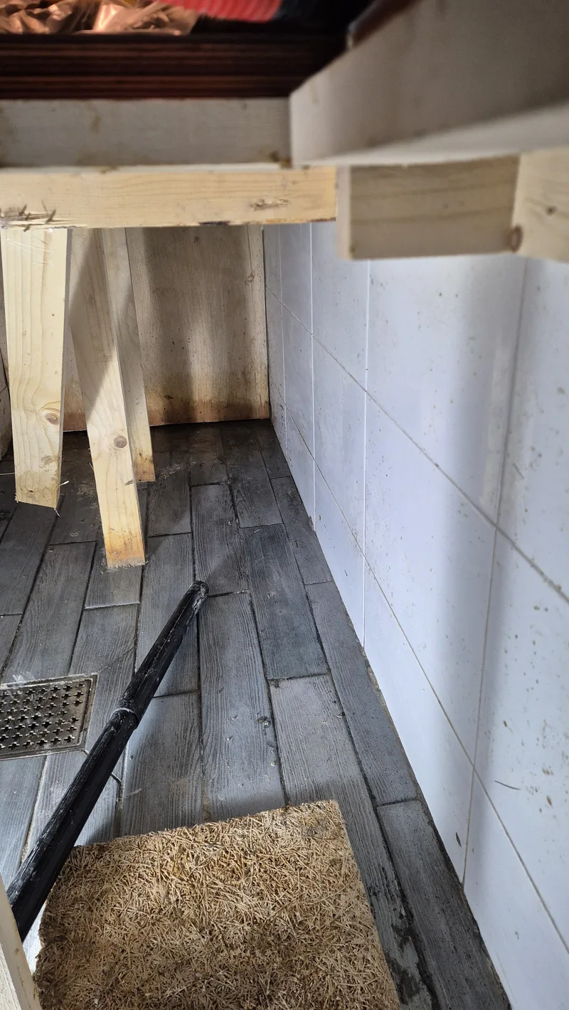 강남구 정화조역류 오수청소 완료 바닥세정