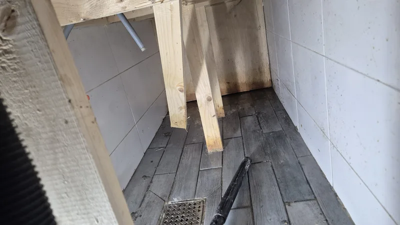 정화조역류 세정완료 지하공간 복구