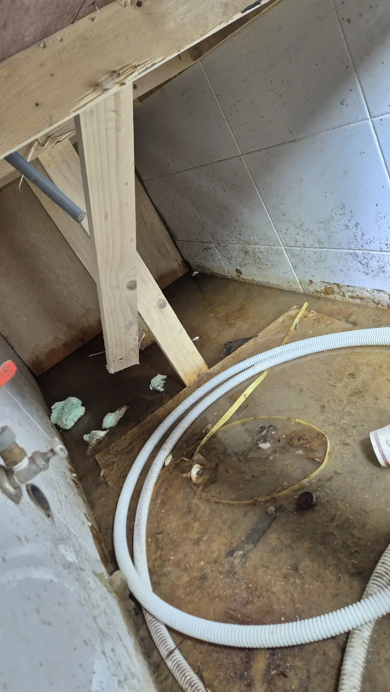 정화조역류 지하공간 오수 범람 타일벽면 오염