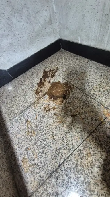 건물 계단 오물 오염 — 바닥에 분변이 쌓인 상태