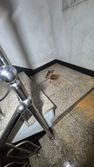 건물 계단 오물 — 바닥과 벽면 오염