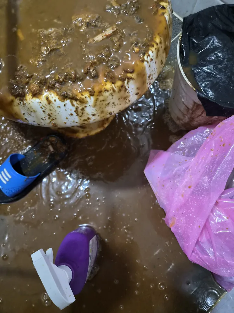 변기 막힘 오물 — 분변·오수가 굳어 넘친 특수청소 현장 작업 전 | 광진구 오물 제거