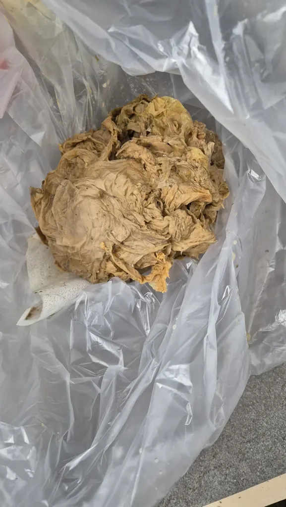 역류 오수·오물 폐기물 수거 — 오염 잔재를 밀봉 봉투에 담아 회수하는 작업