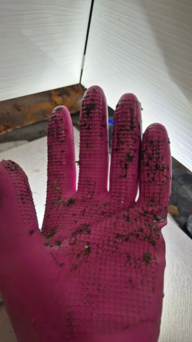 싱크대 역류  청소 전