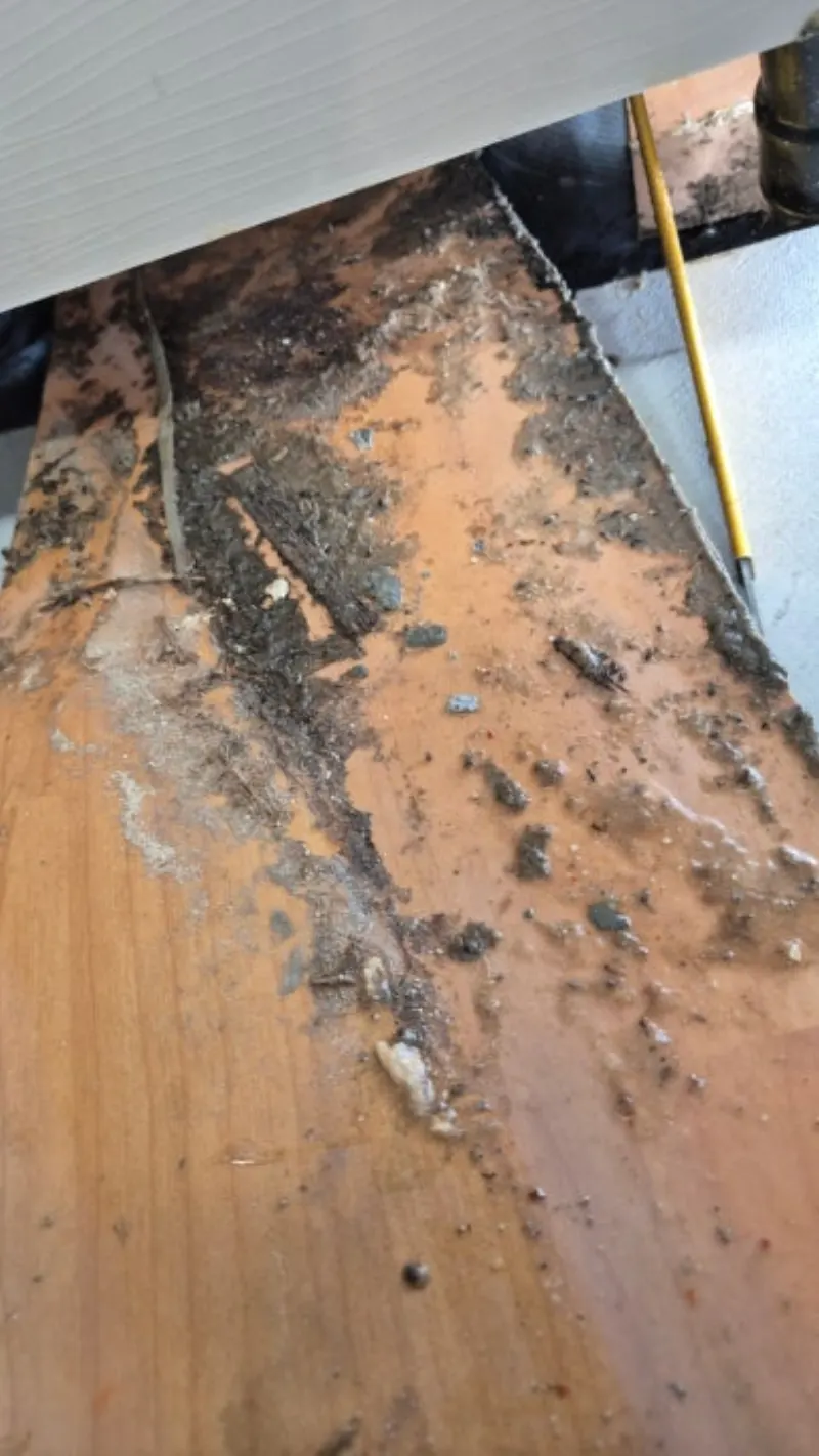 싱크대 역류  청소 전