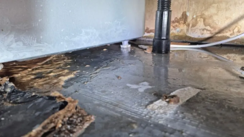 싱크대 역류  청소 전