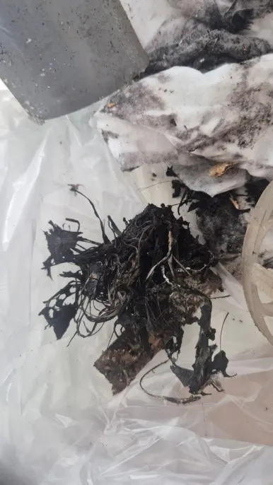 싱크대 하부 바닥 오수 역류 오염 거미줄 먼지