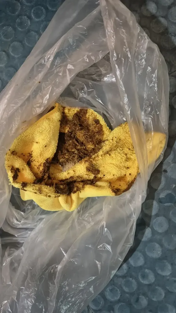 계단 오염물 수거 — 배설물 잔재를 밀봉 봉투에 담아 회수하는 작업
