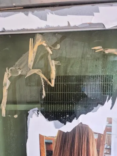 유리창 시트지 제거 중 접착제 잔여물