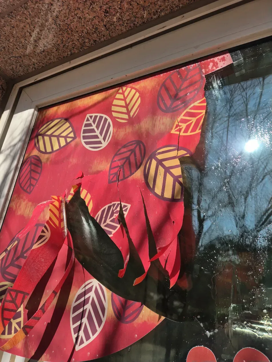 일산 어린이집 유리창 시트지 제거 완료 깨끗한 유리