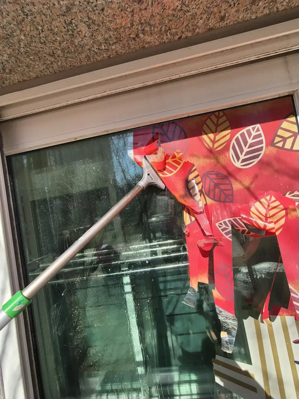 일산 어린이집 나뭇잎 시트지 벗겨짐