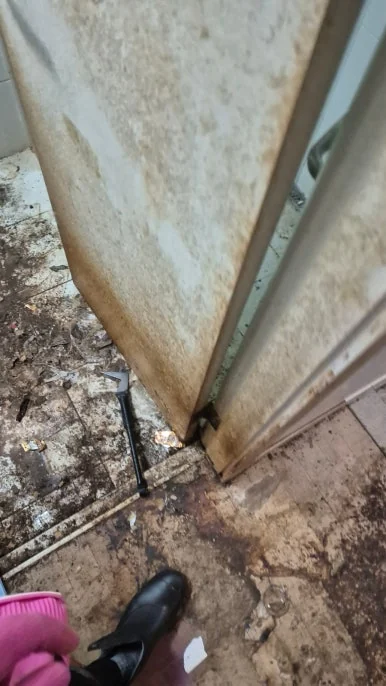 쓰레기집 오염 바닥