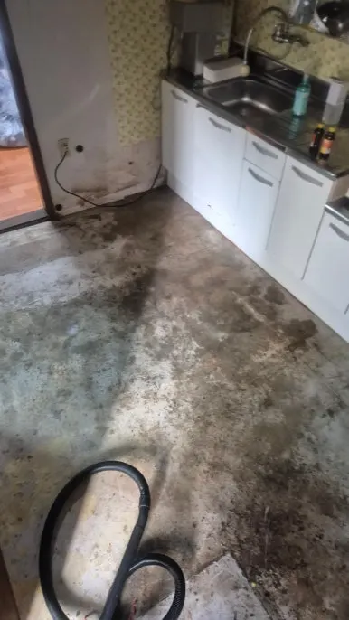 오물과 바퀴벌레 사체로 오염된 주방 바닥