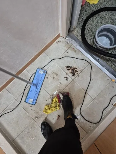 용인 현관 반려견 소변 오염