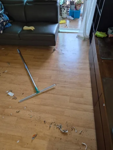 용인 거실 반려동물 오염 방치 상태