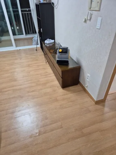 용인 거실 반려동물 오염 세정 완료