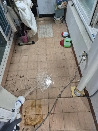 용인 베란다 반려견 배설물 타일 오염